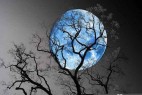 世界十大天气奇观：蓝色月亮千载难逢_大千世界