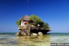 东非男子岩石上建餐厅 海中享受美味_大千世界