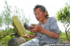 103岁老太每天喝1斤白酒从未醉过(图)_大千世界