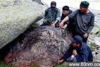 新疆发现巨型陨石 重达30吨或居世界第三位_大千世界